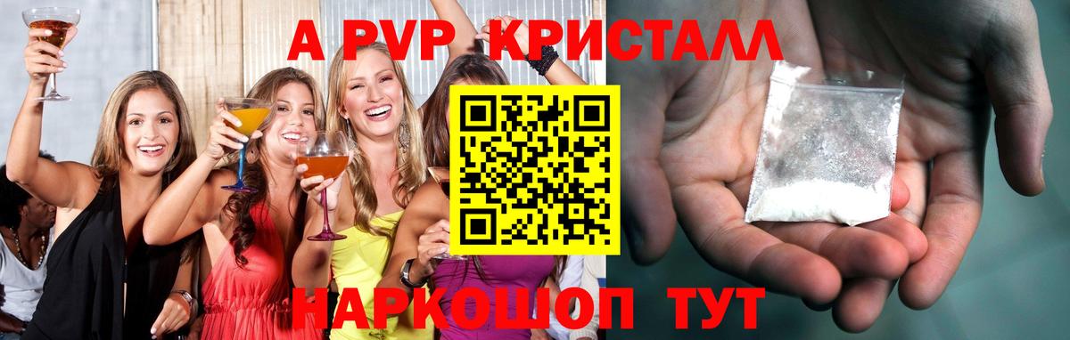 Альфа ПВП СК Сокол