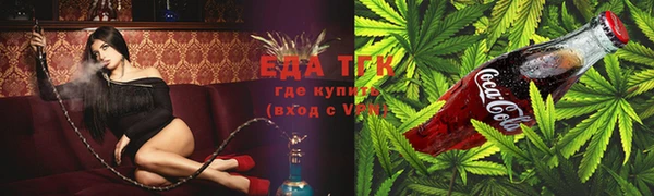 стаф Магас