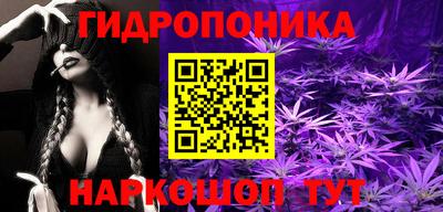 МДПВ Гусев