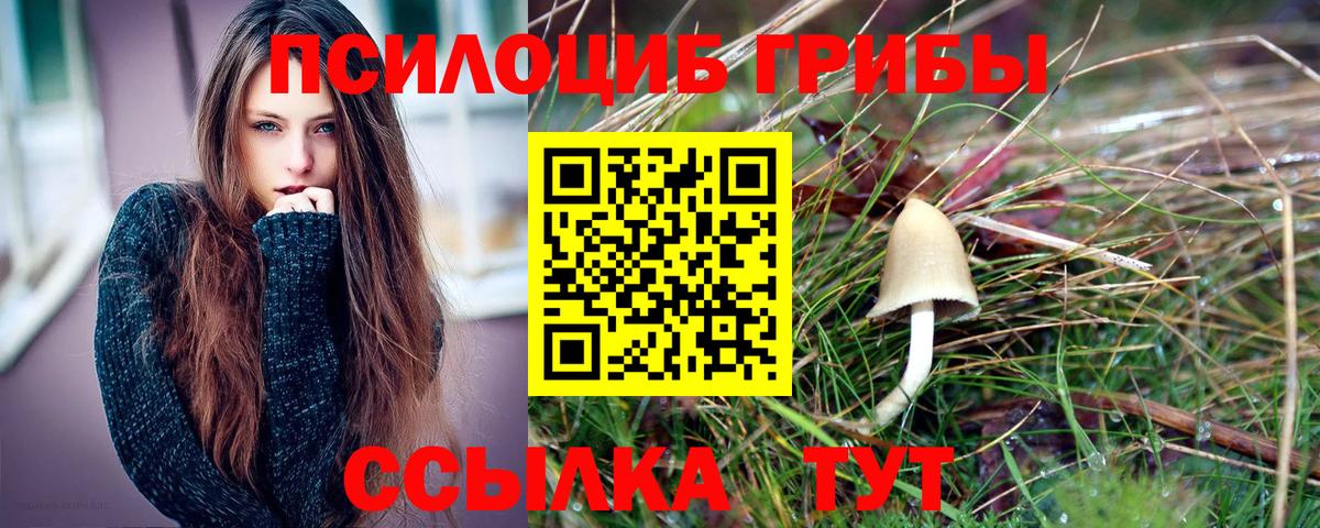 Сокол  Галлюциногенные грибы GOLDEN TEACHER  Вход с VPN 